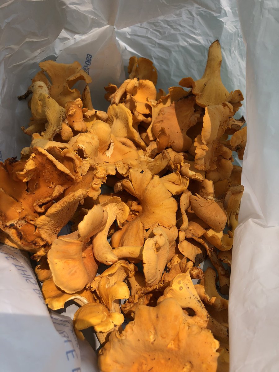 Logan Kirkland tweet media