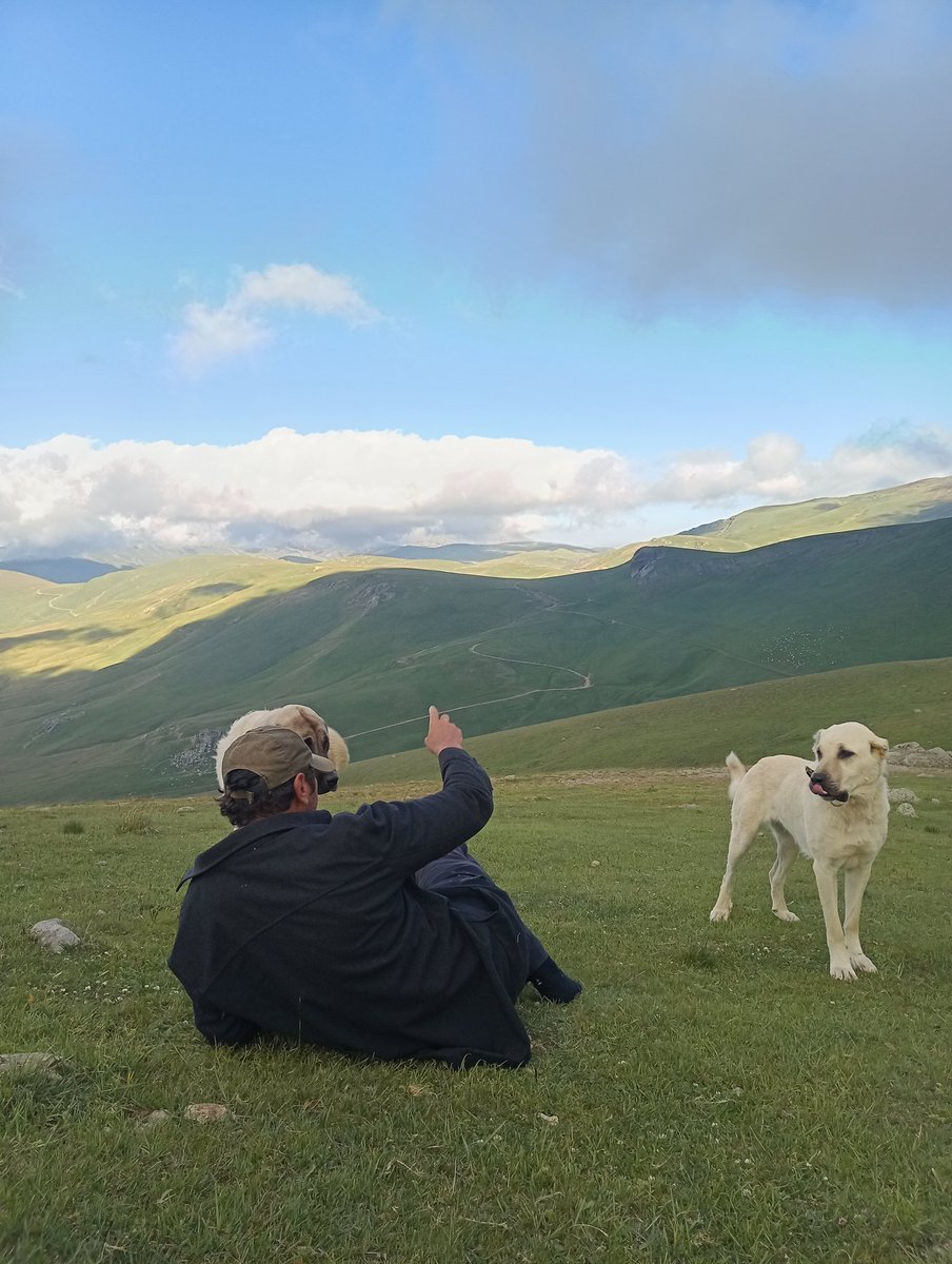 Akşam dersi, kurtlar uyumaz yeğen ☺️