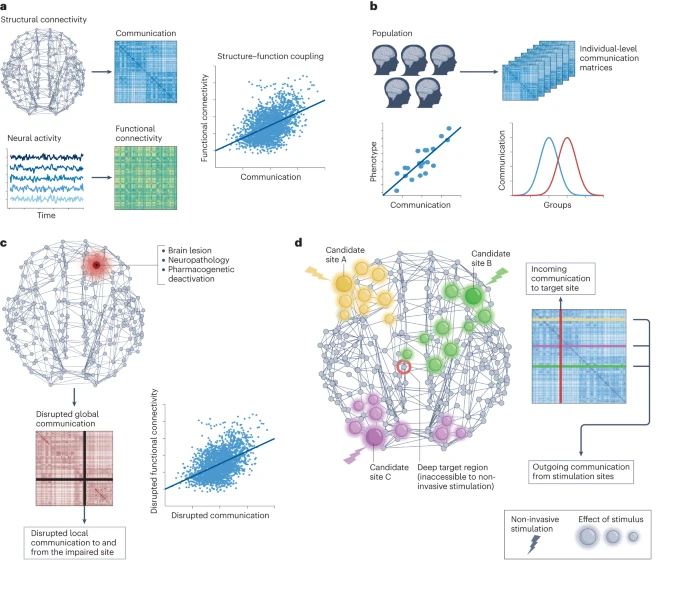 NatRevNeurosci's tweet photo. Brain network communication: concepts, models and applications — a Review by Caio Seguin, Olaf Sporns &amp; Andrew Zalesky

https://t.co/6lFkn7zVGa

@caioseguin @spornslab @AndrewZalesky https://t.co/bwREYHTKbp