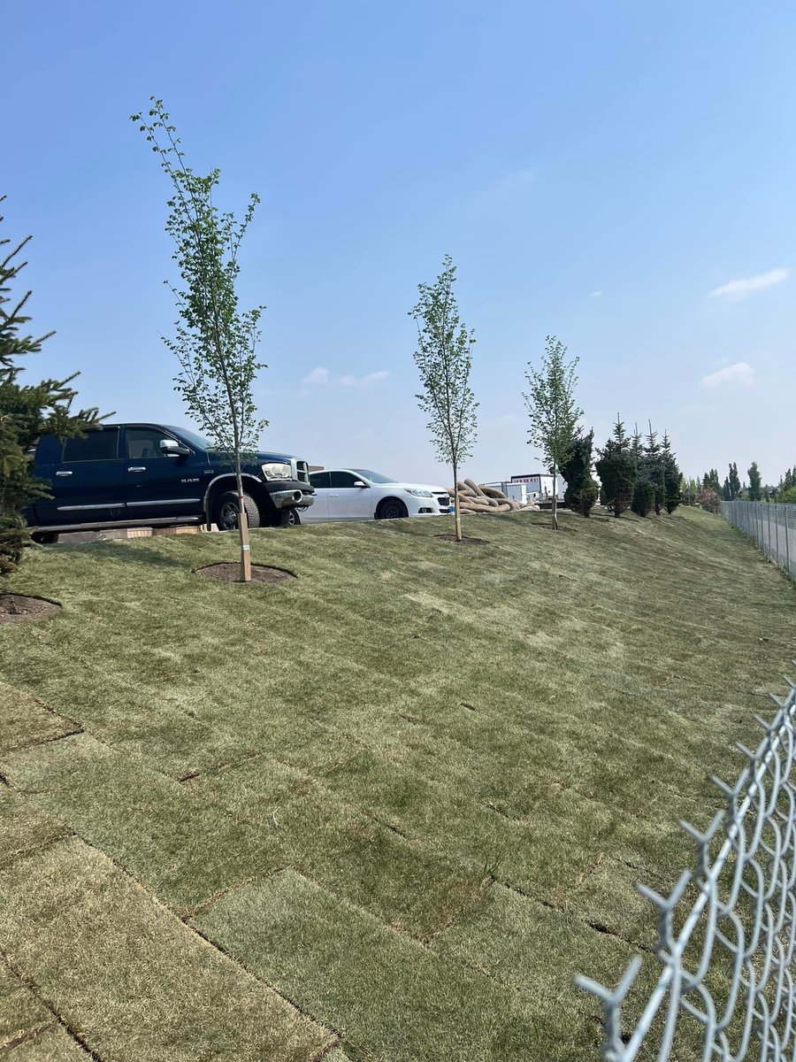 YYCNorthHigh's tweet photo. JULY UPDATE: Our advocates received word today that the school building was turned over to the CBE on July 7.  Contractor’s finishing up a few things, but the building itself is now the property of CBE. #yycNorthHighBuild #WeAreCBE #TeenageTsunami 🌊 @yyCBEdu #yyc @NorthTrailHS https://t.co/LyErS8YqFc