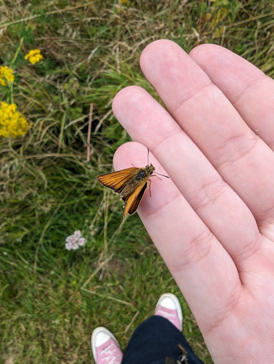 CallumLaing2002's tweet photo. Wowee what an amazing weekend at #BESUG23 train delays mean I have extra time to go over what an amazing weekend it was while it's still fresh 😅 Thank you to all the amazing students and all of the incredible people who made it happen 🦋💞 @BES_careers @BritishEcolSoc @RoyEntSoc https://t.co/VBOzJgA2Cr