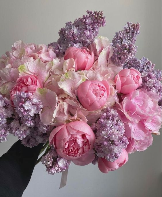lavieestbelIe's tweet photo. Peonies bouquets https://t.co/k6g0zv9ar5