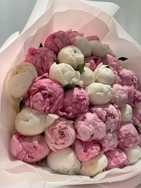 lavieestbelIe's tweet photo. Peonies bouquets https://t.co/k6g0zv9ar5