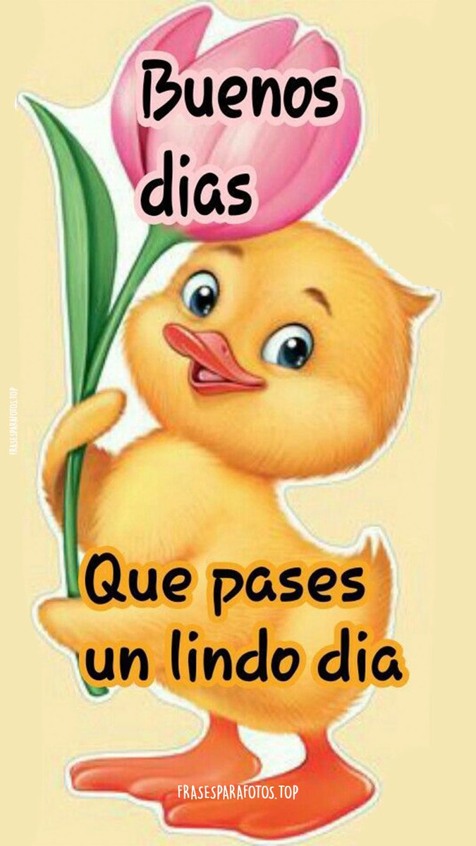 Guadalupe (@murilloguadalup) on Twitter photo 