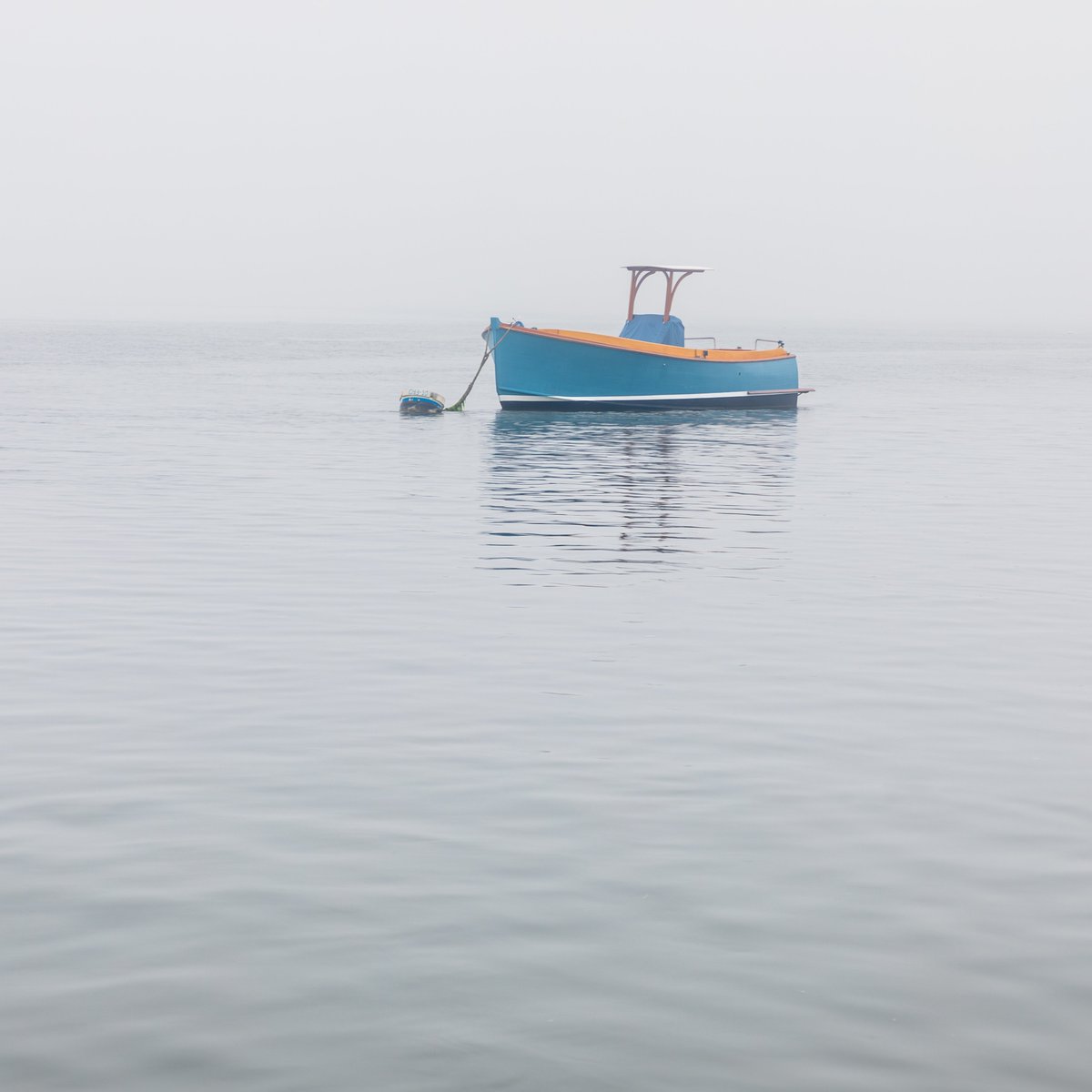 In The Mist

Aunt Lydia's Cove, Chatham Bay, Cape Cod, MA
#fsprintmonday
@CapeCodLife @capecodtimes @CapeCodToday