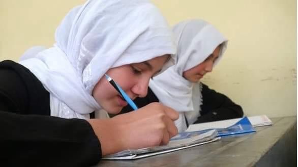AlokozaiSaboor's tweet photo. Education for all  ! 📚

@KarzaiH 

#LetAfghanGirlsLearn #FreeAfghanwomen #LetHerLearn https://t.co/McZHdeUh5j