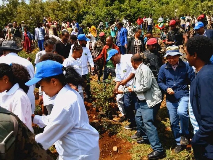 BahirdarC's tweet photo. የ2ኛው ምዕራፍ የመጀመሪያ ዙር የ���ንድ ቀን ጀንበር የአረንጓዴ አሻራ በባህርዳር ከተማ ዘንዘልማ ቀበሌ ጣና ዳር በሚገኘው ገላድ ተፋሰስ ላይ ተካሄደ። https://t.co/PiGpuxIP3n