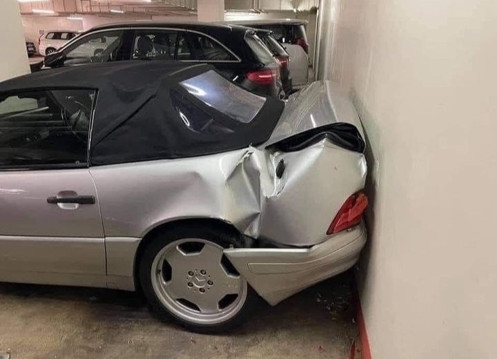 Russell🦁🏖️🐯 tweet media