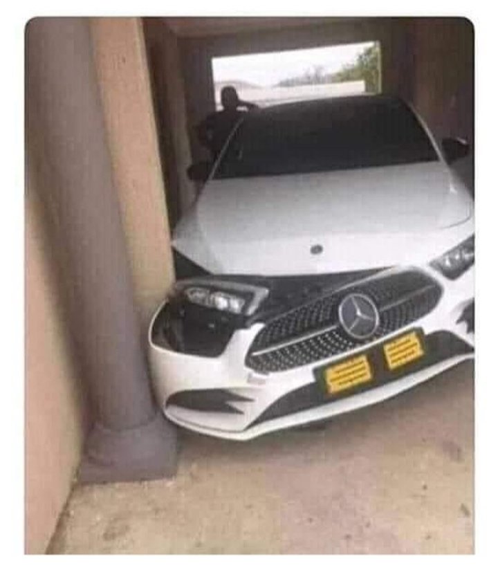 Russell🦁🏖️🐯 tweet media