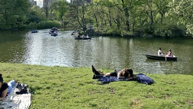 moodyonmoon's tweet image. 🛶