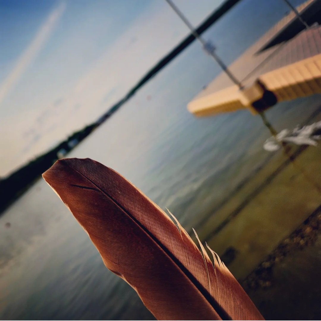 Meet You at the Boat Launch
#randomness #randompicture  #boatlaunch #mysaskatchewan  #moosemountains #whitebearlakesk  #lightasafeather