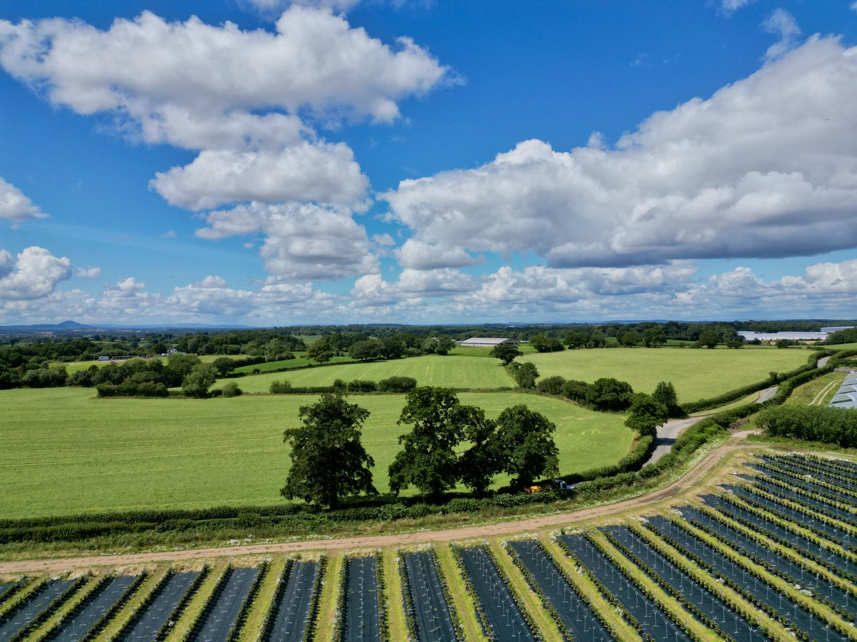 spj1958's tweet photo. Our green and pleasant land #Gnosall #hellostaffs #loveukweather #mini3pro π https://t.co/9XRrzrOm00