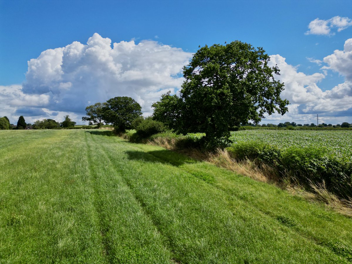 spj1958's tweet photo. Our green and pleasant land #Gnosall #hellostaffs #loveukweather #mini3pro π https://t.co/9XRrzrOm00