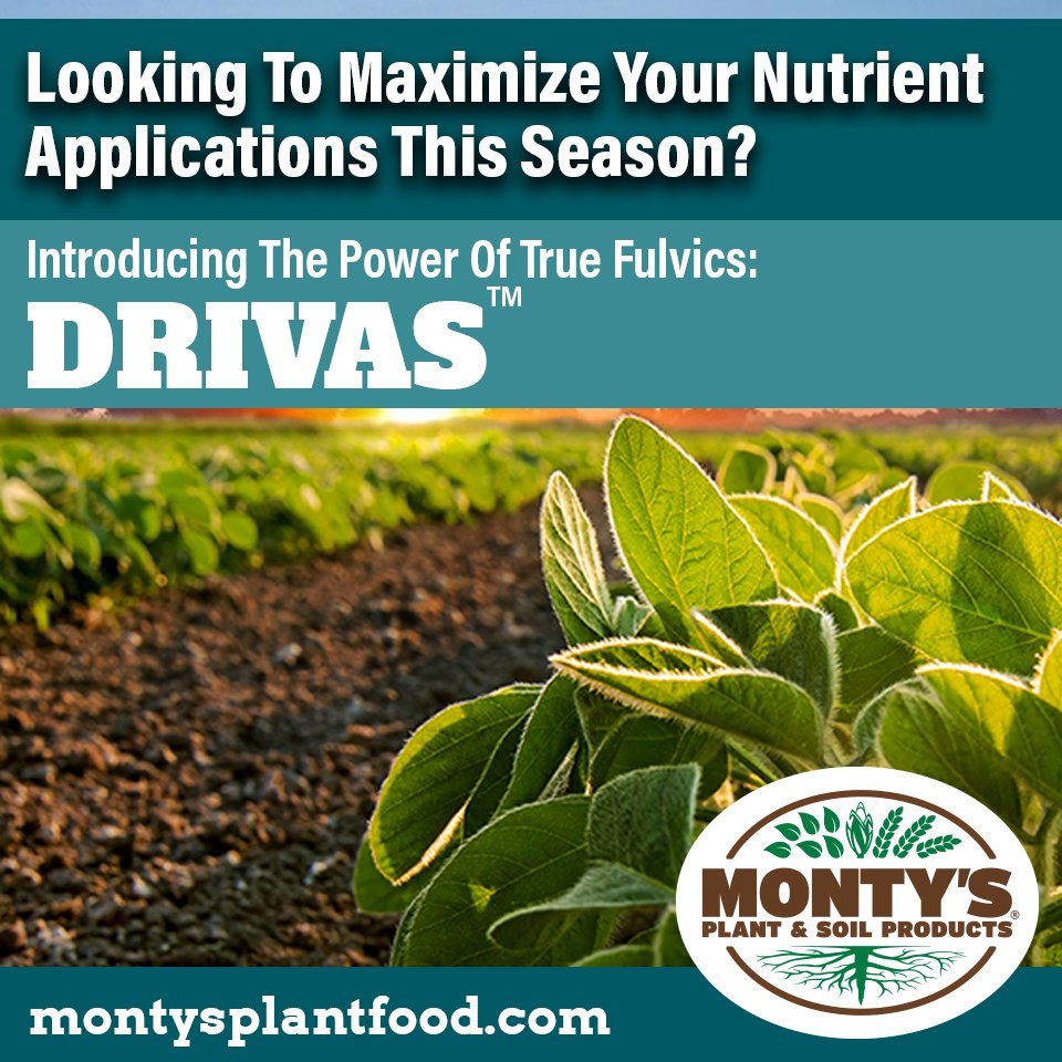 montysplantfood's tweet photo. Monty’s Drivas, our new true fulvic, is designed to drive more nutrients to the plant when they need them. And more nutrients mean a healthier crop and a higher ROI for you this season.
https://t.co/vFIiatJRlb
#humictechnology #soilhealth #fulvics #newproduct https://t.co/0lgMPjCJje