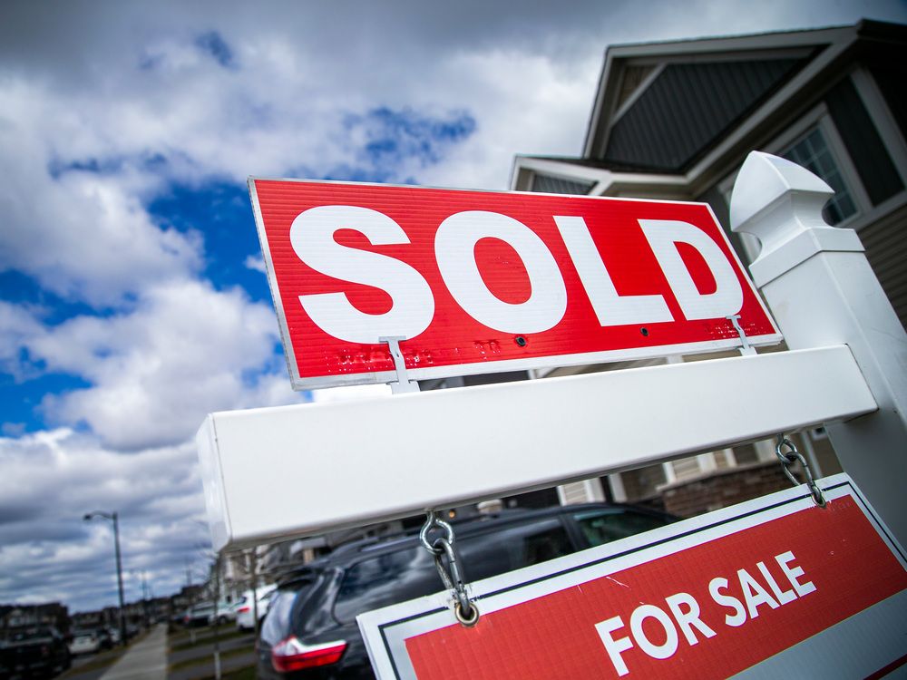 TheRealtorKelly's tweet photo. Home prices to end year 8.5% higher, despite Bank of Canada rate hikes: Royal LePage

Kelly Ryan Real Estate
Guiding You Home
M: (647) 268-2664
kellyryan@rogers.com
https://t.co/vPSLgZvyii https://t.co/yD89lSoW70 https://t.co/MrGDflcQ5q