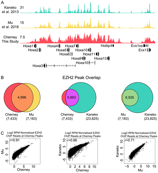 BiologyOpen's tweet image. It’s #MethodMonday and this week we are showcasing the work of Rachel E. Cherney and colleagues @UNC 🧪🔬 Read the #OpenAccess article here: journals.biologists.com/bio/article/12…