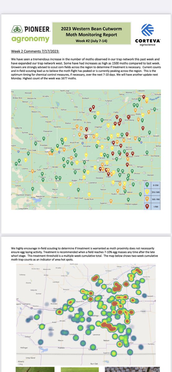 Calvin Rupe (@rupecalvin) on Twitter photo Week #2 of Western Bean Cutworm reporting. Lots of activity this week. Scouting fields will be important the next couple weeks. Significant increases in moth counts compared to previous.<a href="/micksterbrau/">John Mick</a> <a href="/BobWrightUNL/">Robert Wright</a> <a href="/jenreesources/">Jenny (Rees) Brhel</a> <a href="/PetersonInsects/">Julie Peterson</a> Week #2 of Western Bean Cutworm reporting. Lots of activity this week. Scouting fields will be important the next couple weeks. Significant increases in moth counts compared to previous.<a href="/micksterbrau/">John Mick</a> <a href="/BobWrightUNL/">Robert Wright</a> <a href="/jenreesources/">Jenny (Rees) Brhel</a> <a href="/PetersonInsects/">Julie Peterson</a>