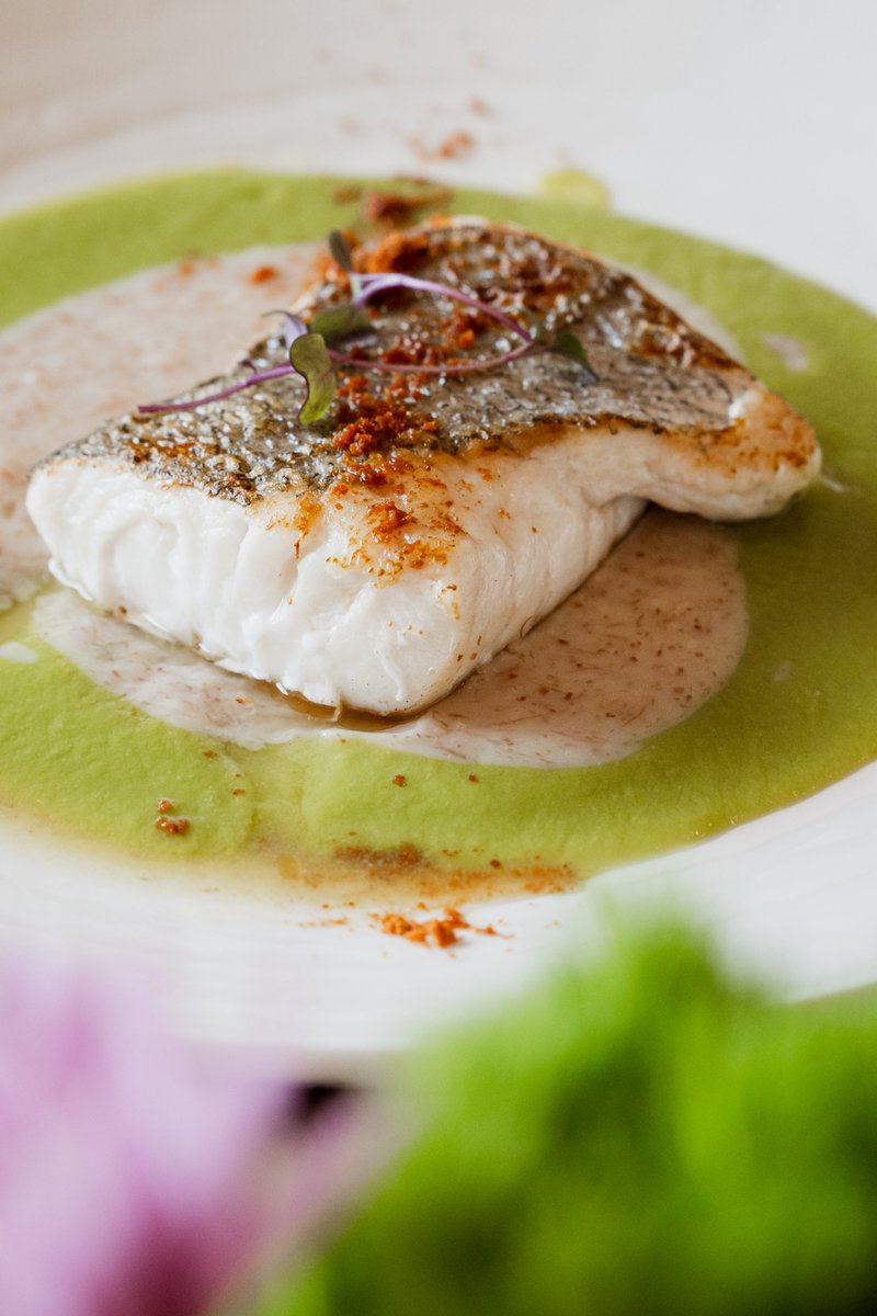 Un banquete de sabores exquisitos en #LaJaranaTaberna! 🍽🔥

Merluza sobre crema de guisantes y jabugo 🐟🥓

Añadimos el toque mágico con auténtico jabugo, añadiendo un toque salado y ahumado que te dejará boquiabierto. 

lajaranataberna.com

#LasalaPlazaHotel