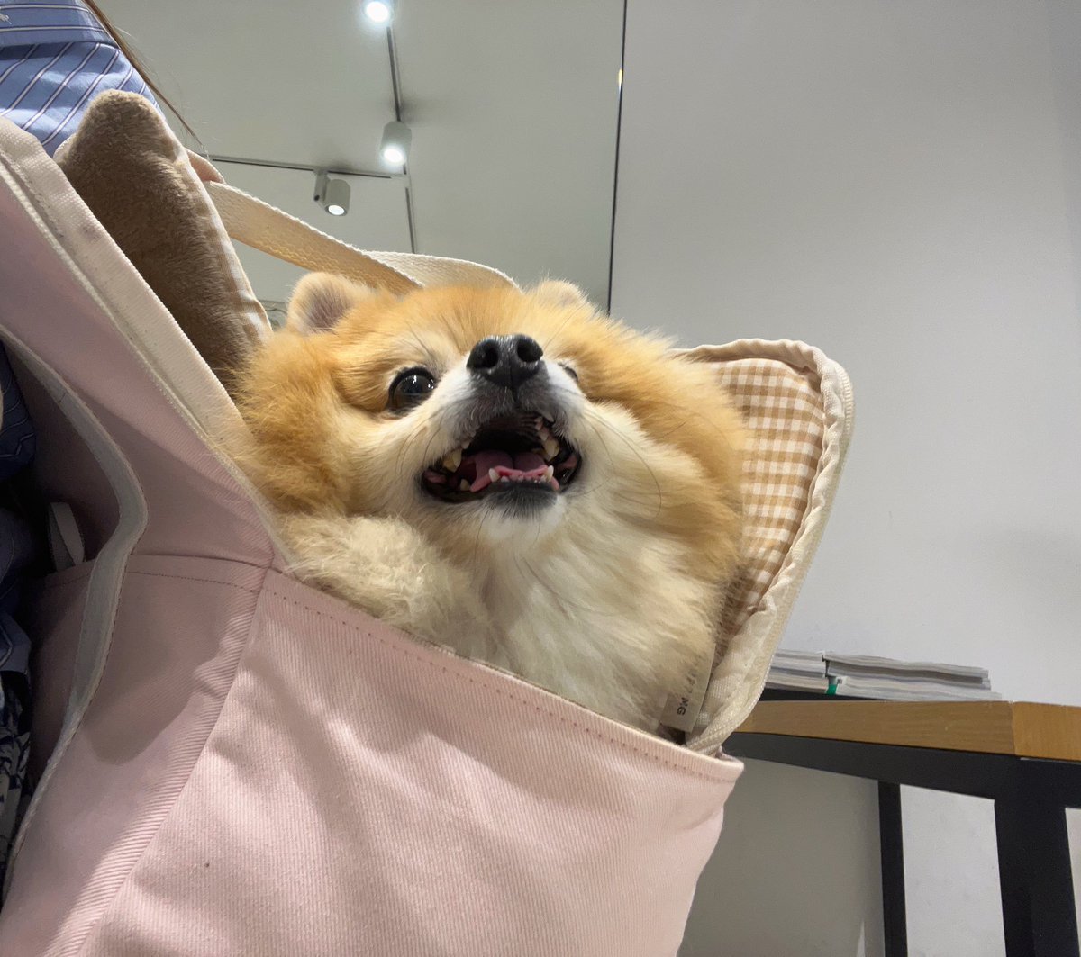 🥹🥹너모 오랜만이다