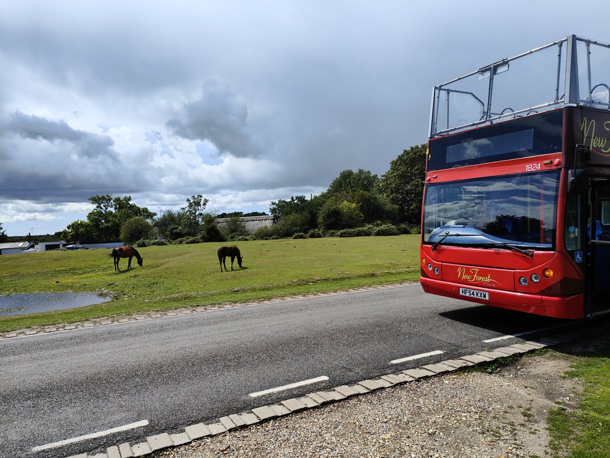 #newforesttour #overcast #ponyandfoul #opentop #bus #morebus