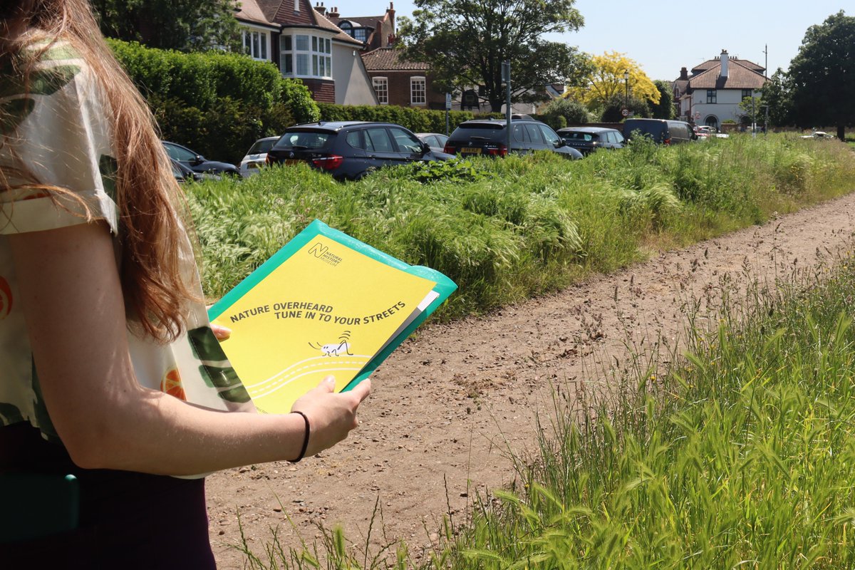 NHM_CitSci's tweet photo. This week's weather marks a great opportunity to get involved in the #NatureOverheard survey, co-created by students &amp; @NHM_Science scientists. Record audio for 5 mins near a street, look for insects &amp; contribute to research. Sign up today! #CitizenScience https://t.co/PJK3XcL0LW https://t.co/ggF7gVx536