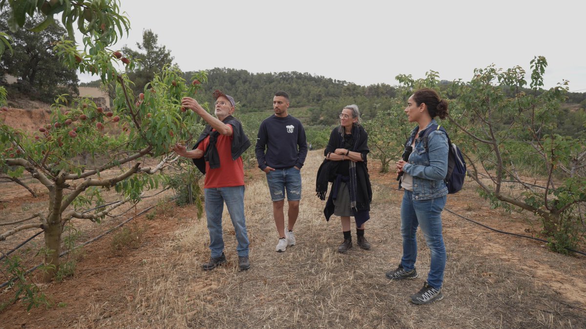 LIVEMEDIA (@livemedia) on Twitter photo #MatrixCultura205018/07 | 19:00h Transmissió RITMES DE LA NATURA: EL SABER FENOLÒGIC A LA SERRA D'ALMOS <a href="/laube2021/">laube</a> <a href="/escoladeriu/">Escoladeriu</a>, <a href="/ATivissa/">Ajuntament de Tivissa</a> <a href="/CulturaStte/">CulturaTerresEbre</a> <a href="/CERE_RIBERA/">CE Ribera d'Ebre</a> <a href="/iramunt/">Institut Ramon Muntaner</a> <a href="/terresebretur/">Terres de l'Ebre</a> <a href="/ccriberaebre/">Consell Comarcal de la Ribera d’Ebre</a> <a href="/RiberadEbreTur/">Turisme de la Ribera d’Ebre</a> <a href="/ccterraalta/">Consell Comarcal de la Terra Alta</a> <a href="/TurismeTerrAlta/">Turisme Terra Alta</a> <a href="/CCBaixEbre/">Consell Comarcal del Baix Ebre</a> <a href="/museuterresebre/">Museu Terres Ebre</a> #MatrixCultura205018/07 | 19:00h Transmissió RITMES DE LA NATURA: EL SABER FENOLÒGIC A LA SERRA D'ALMOS <a href="/laube2021/">laube</a> <a href="/escoladeriu/">Escoladeriu</a>, <a href="/ATivissa/">Ajuntament de Tivissa</a> <a href="/CulturaStte/">CulturaTerresEbre</a> <a href="/CERE_RIBERA/">CE Ribera d'Ebre</a> <a href="/iramunt/">Institut Ramon Muntaner</a> <a href="/terresebretur/">Terres de l'Ebre</a> <a href="/ccriberaebre/">Consell Comarcal de la Ribera d’Ebre</a> <a href="/RiberadEbreTur/">Turisme de la Ribera d’Ebre</a> <a href="/ccterraalta/">Consell Comarcal de la Terra Alta</a> <a href="/TurismeTerrAlta/">Turisme Terra Alta</a> <a href="/CCBaixEbre/">Consell Comarcal del Baix Ebre</a> <a href="/museuterresebre/">Museu Terres Ebre</a>