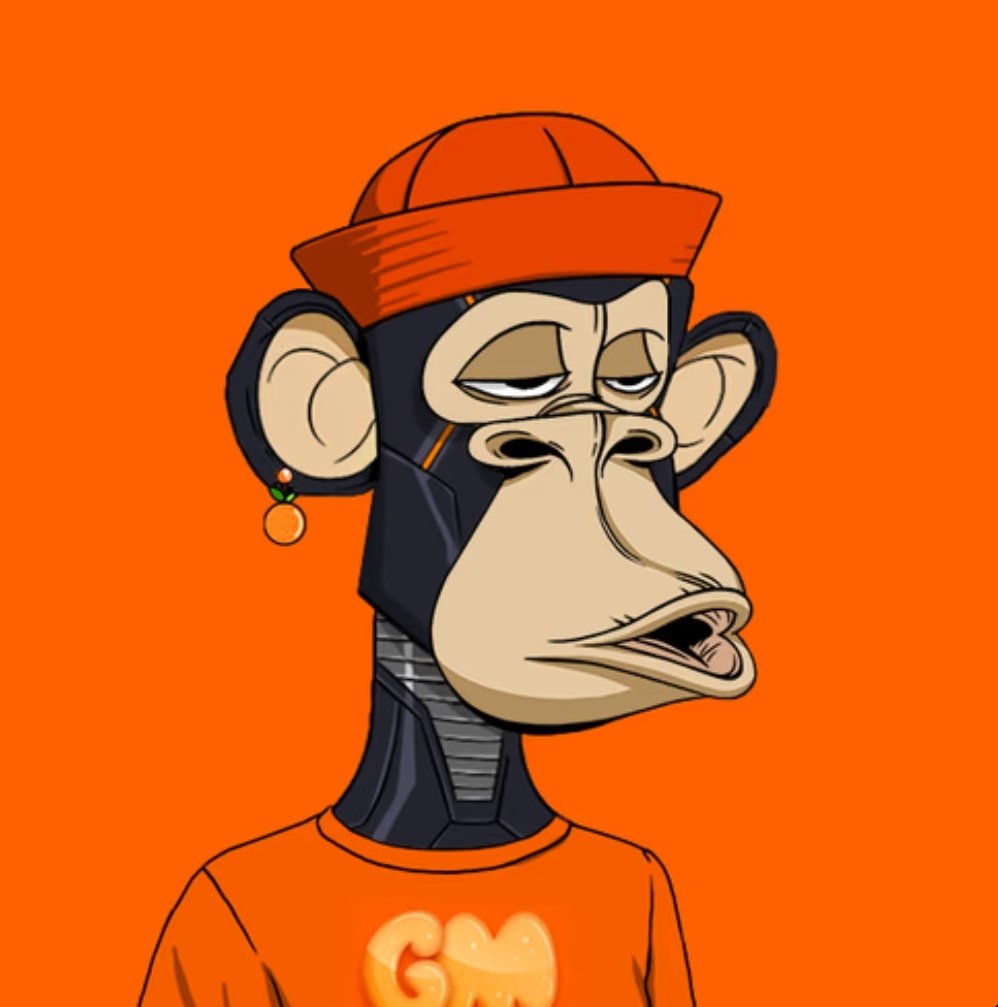 Valistheaeth's tweet photo. Which one did you prefer ? #orangeapes @Orang_Apes #NFT https://t.co/VWnq6tjRm7