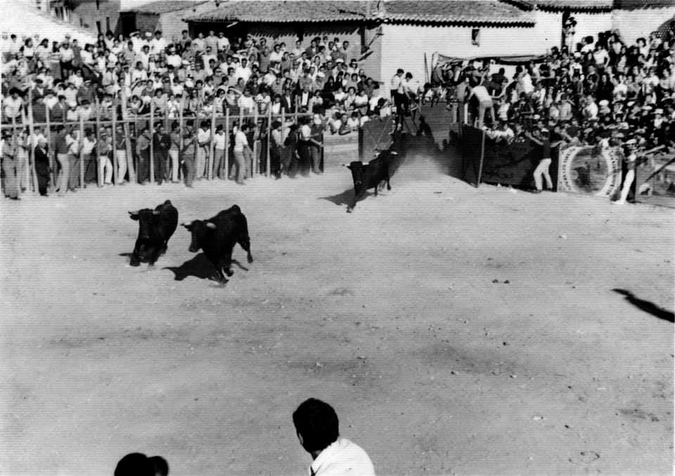 Estrenamos perfil relacionado con Macotera y sus fiestas taurinas, que datan del año 1563.Desde entonces, en honor al patrón, San Roque, se vienen celebrando encierros y capeas tradicionalmente, además de festejos de muerte, en las distintas plazas de toros que ha tenido la Villa