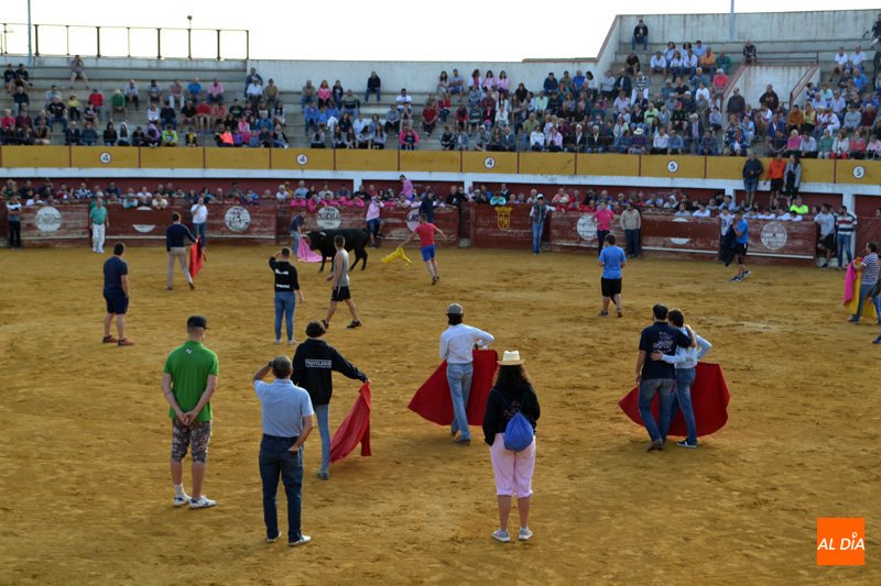 MacoteraToros's tweet photo. Actualmente cuenta con una plaza de obra, de 3700 localidades, que se inauguró el 19 de junio de 1999. Con un encierro de Los Bayones hicieron el paseíllo José María Manzanares, Julio Norte y Uceda Leal.
Los festejos se celebran los días 16, 17 y 18 de agosto y el 8 de septiembre https://t.co/zetliv71Fv