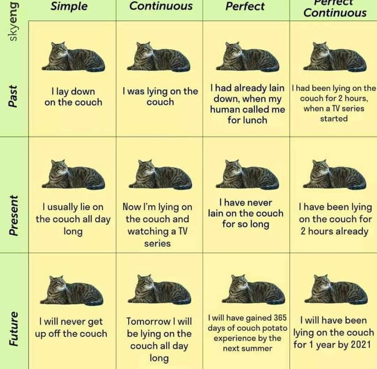 Purrfect guide to English verbs? 
#TeamEnglish #engchat