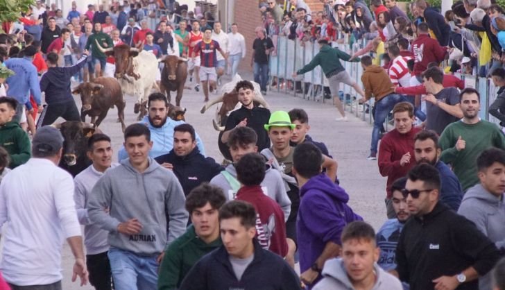 Actualmente cuenta con una plaza de obra, de 3700 localidades, que se inauguró el 19 de junio de 1999. Con un encierro de Los Bayones hicieron el paseíllo José María Manzanares, Julio Norte y Uceda Leal.
Los festejos se celebran los días 16, 17 y 18 de agosto y el 8 de septiembre