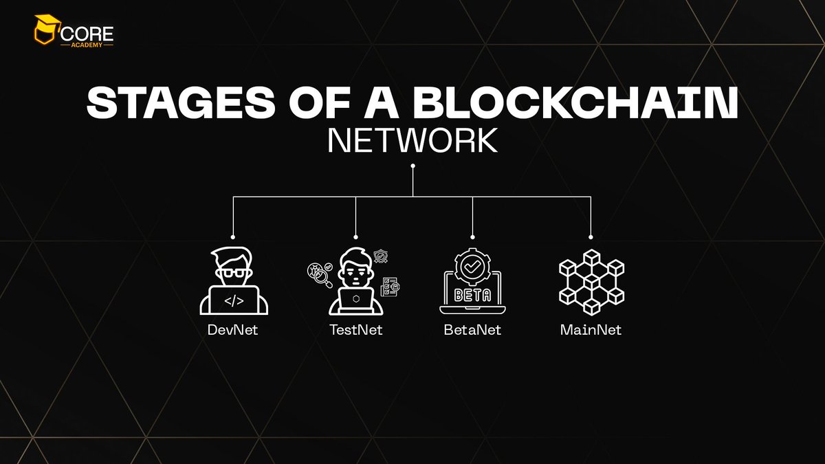 Coredao_Org's tweet photo. https://t.co/DqiijRSX5Z