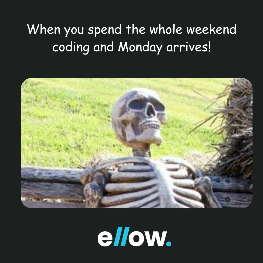 EllowTalents's tweet image. Tag your developer friend who worked over the weekend.
#codingmemes #programmingmeme #javamemes #codinglife💻 #codermemes #ProgrammingHumor #SoftwareDeveloper #Ellow #MemeMonday #MemeOfTheDay #CodingLife #DeveloperLife #CodingHumor