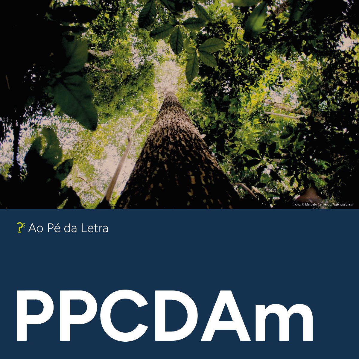 fundacaofhc's tweet photo. No #DiadeProteçãoàsFlorestas (17/07), entenda o papel do #PPCDAm para o controle do desmatamento na #Amazônia. Criado em 2004, o “Plano de Ação para Prevenção e Controle do Desmatamento na Amazônia Legal” foi o principal responsável pela redução do #desmatamento na região até ser interrompido pelo governo passado, em 2019. Relançado em junho último, o novo Plano envolve a participação de 13 ministérios e tem como meta principal zerar o desmatamento na região até 2030.
#FundacaoFHC #AoPédaLetra