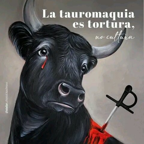 @CclapParroqCMP tweet media
