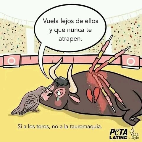 @CclapParroqCMP tweet media