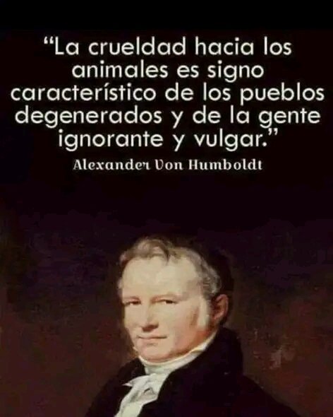 @CclapParroqCMP tweet media