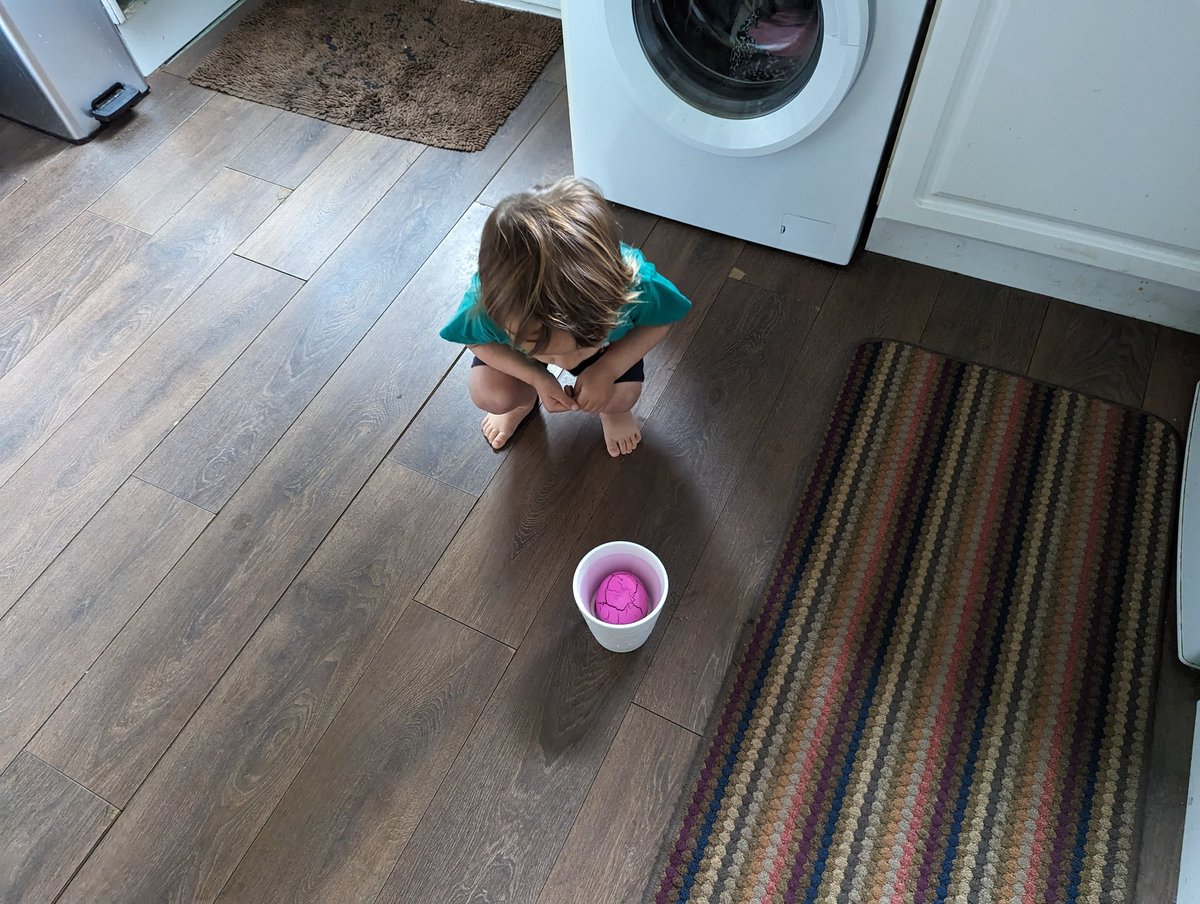 mink20's tweet photo. Discovering that two weeks doesn't mean instantly... https://t.co/BRTUNw2AVb