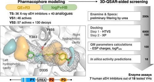 JCIM_JCTC's tweet image. Screening and Biological Evaluation of Soluble Epoxide Hydrolase Inhibitors: Assessing the Role of Hydrophobicity in the Pharmacophore-Guided Search of Novel Hits #drugdesign
pubs.acs.org/doi/10.1021/ac…
@bhdupree
Vol63 Issue10 #JCIM #PharmaceuticalModeling