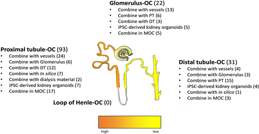 DMM_Journal's tweet photo. Happy #MostReadMonday!
Our current most-read is a #SystematicReview of kidney-on-a-chip platforms by @BasvanBal &amp; team:

📰https://t.co/yIgisr0997
#OpenAccess #BioEngineering #DiseaseBiology https://t.co/4WNHBGnrjt