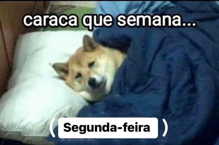 assim hj