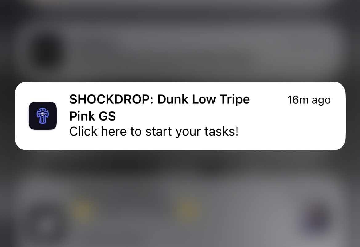 Where were you? 🤔

Our members destroyed it while being at the beach 🌴

Taranis is here and is meant to conquer ⚡️

💙, ♻️ and tag a friend who needs us