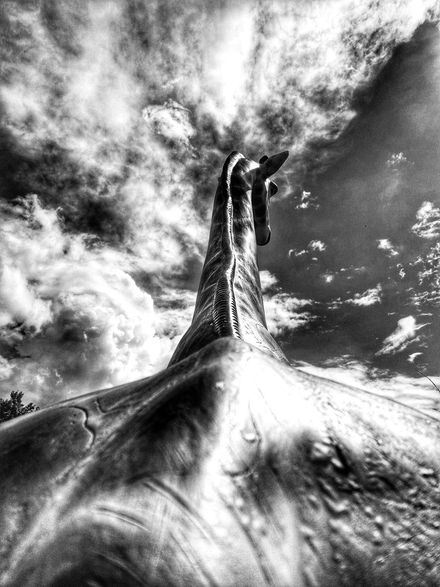 Fiona (@fionasurrey) on Twitter photo 