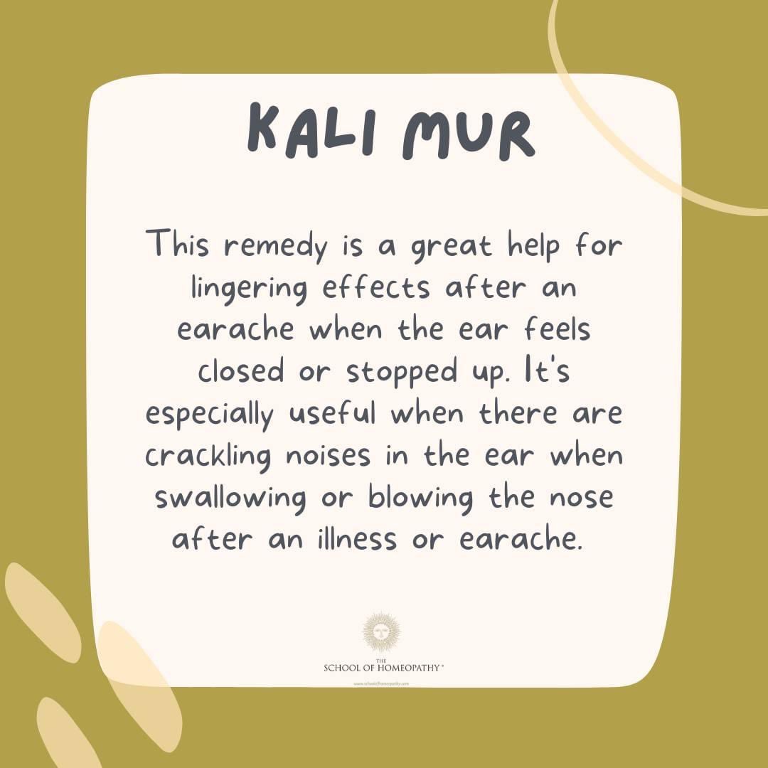 4Homeopathy's tweet photo. Another great remedy picture by @HomeopathyEdu 

Try homeopathy! 

Speak to a homeopath today at https://t.co/kYMy6GzVs7  

#homeopathy #homeopathicmedicine #homeopathic #homeopathyworks #homeopathicremedies #homeopath #homeopathyheals #homeopathyheals https://t.co/HcWdIWYPJs