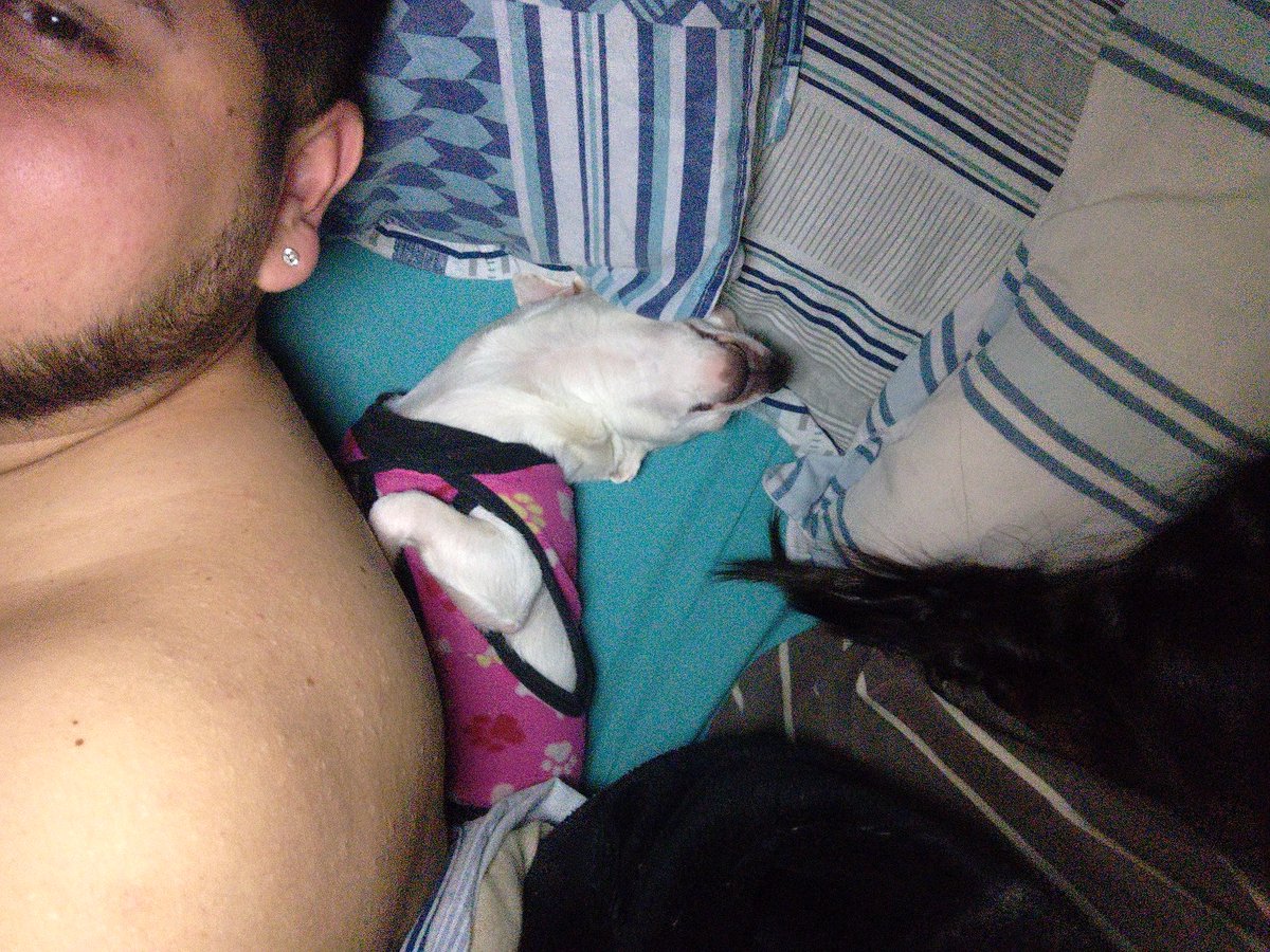 xRealFranco's tweet photo. Siempre nos separa a mi mujer y yo , viene y se acuesta entre medio de los dos.. https://t.co/HN9rMzWhGM