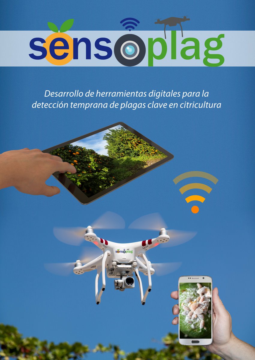📲 El proyecto Sensoplag está desarrollando una aplicación móvil para la detección temprana de plagas en la citricultura. Por ello, os agradeceríamos que nos hicierais llegar al whatsapp de <a href="/ava_asaja/">Associació Valenciana d'Agricultors</a>  (634 523 579) 📷 fotografías de araña y cotonet en vuestros campos de cítricos