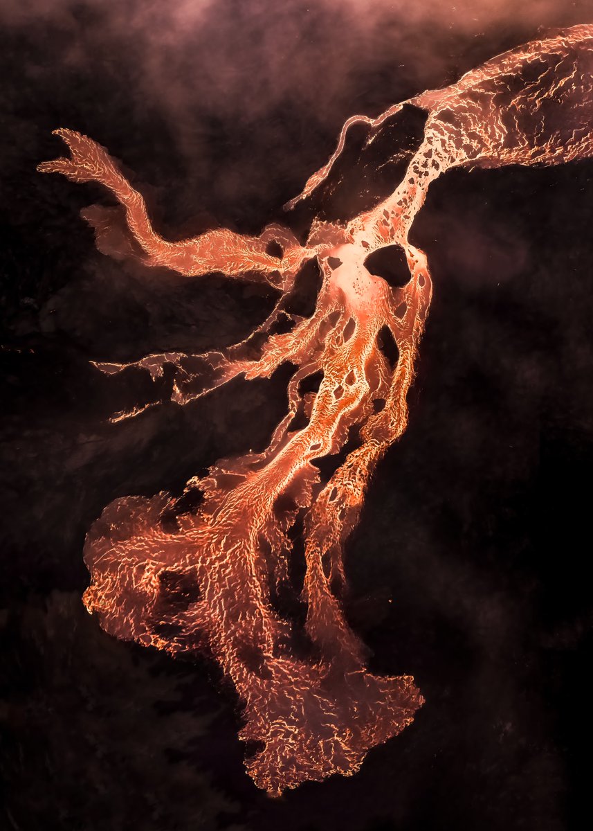 Rachel Suzanne Tien Wood tweet media