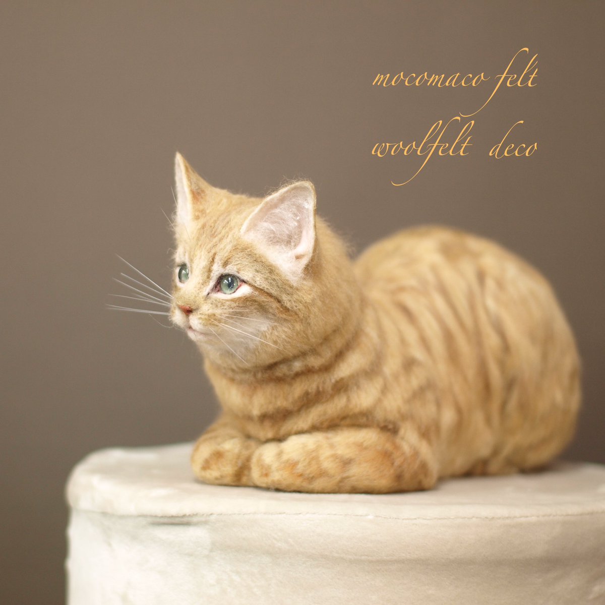 羊毛フェルトで茶トラ猫ちゃんを作ってみました😆いつも猫は想像で作るのでこれで良いのか不安😓😅茶トラはやっぱり柄が凄く難しい😓

#羊毛フェルト #羊毛 #羊毛氈 #ねこ #ねこのきもち #猫 #cat #catstagram #cats #ハンドメイド #woolfelt #핸드메이드 #양모펠트