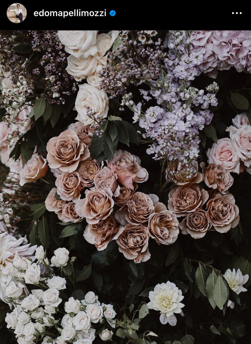 🌻Sarahsecret on Twitter "Mr Edoardo Mapelli Mozzi, husband of Princess