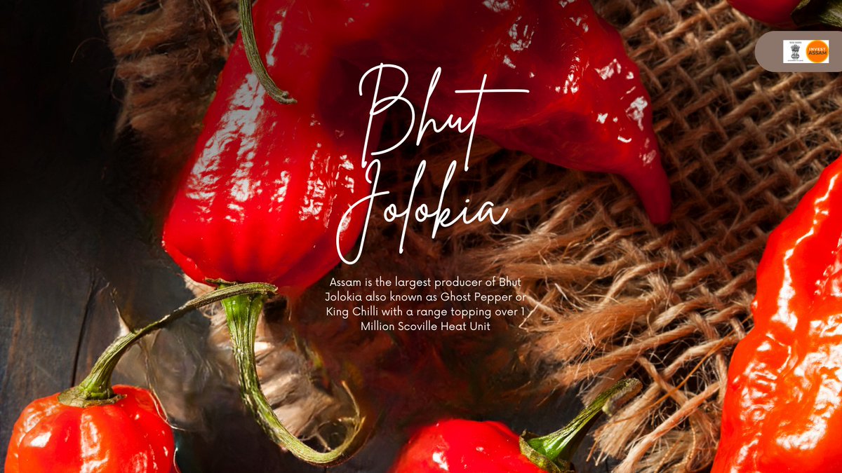 Invest_Assam's tweet image. Bhut Jolokia is in demand in Asian markets and European markets. The European Chilli imports have increased by more than two folds.  the demand is also steadily rising in France, UK, Spain and Romania.

#investassam #chilli #bhutjolokia